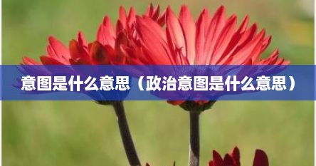 意图感是什么意思（意图很明显是什么意思）