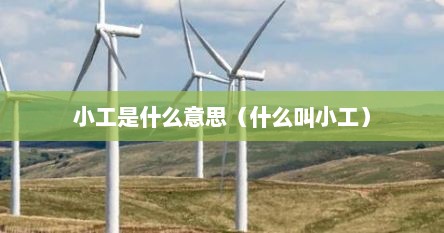 小工是什么意思（什么叫小工）