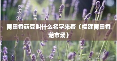 莆田香菇豆叫什么名字来着（福建莆田香菇市场）