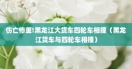 伤亡惨重!黑龙江大货车四轮车相撞（黑龙江货车与四轮车相撞）