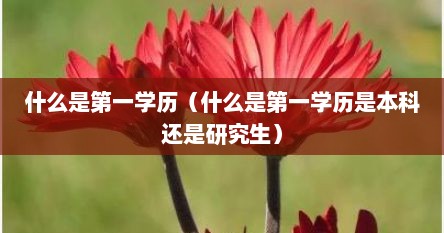 什么是第一学历（什么是第一学历是本科还是研究生）