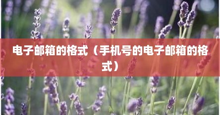 电子邮箱的格式（手机号的电子邮箱的格式）
