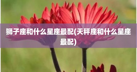 狮子座和什么星座最配(天秤座和什么星座最配)