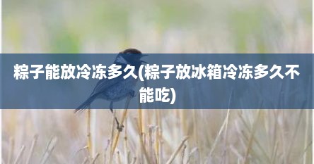 粽子能放冷冻多久(粽子放冰箱冷冻多久不能吃)