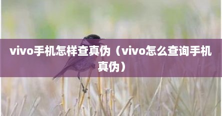 vivo手机怎样查真伪（vivo怎么查询手机真伪）