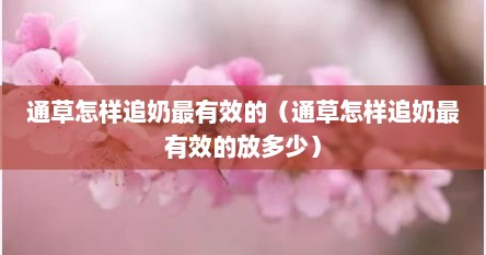 通草怎样追奶最有效的（通草怎样追奶最有效的放多少）