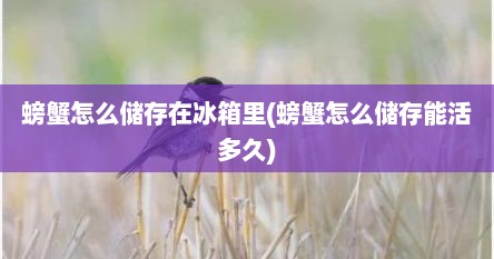 螃蟹怎么储存在冰箱里(螃蟹怎么储存能活多久)