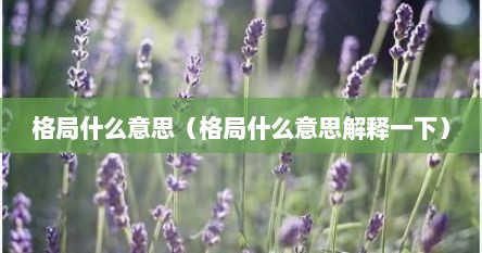格局什么意思（格局什么意思解释一下）
