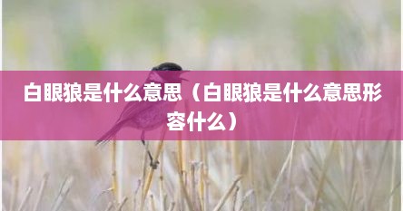 白眼狼是什么意思啊（俗语白眼狼什么意思）
