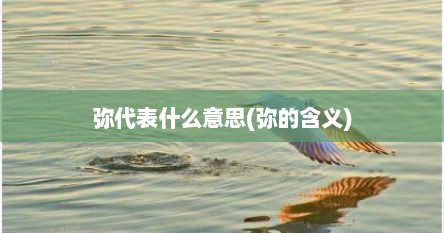 弥代表什么意思(弥的含义)