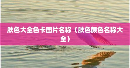 肤色名称大全及色卡（肤色列表）