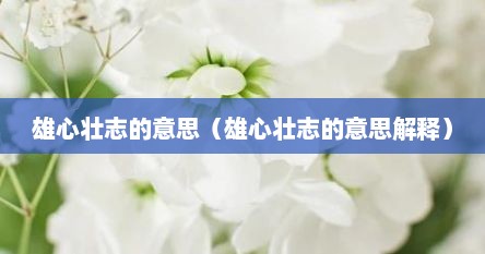 雄心壮志的意思（雄心壮志的意思解释）