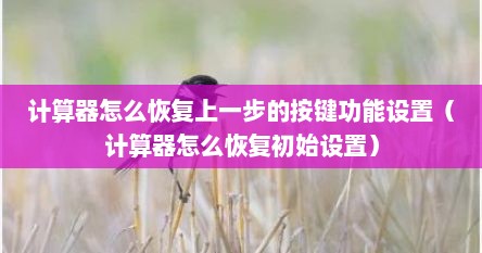 计算器怎么恢复上一步的按键功能设置（计算器怎么恢复初始设置）