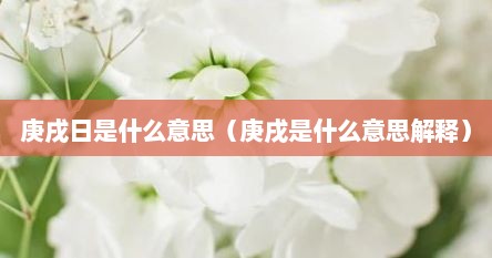 庚戌日是什么意思（庚戌是什么意思解释）