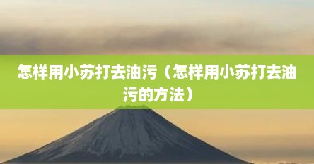 怎样用小苏打去油污（怎样用小苏打去油污的方法）