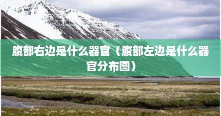 腹部右边是什么器官（腹部左边是什么器官分布图）