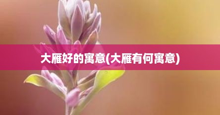大雁好的寓意(大雁有何寓意)