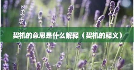 契机的意思是什么解释（契机的释义）