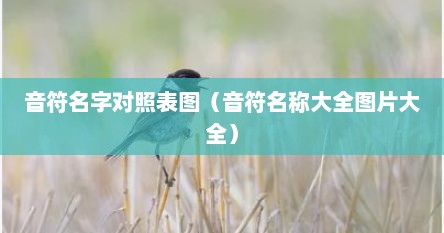 音符名字对照表图（音符名称大全图片大全）