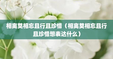 相离莫相忘且行且珍惜（相离莫相忘且行且珍惜想表达什么）