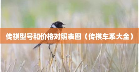 传祺型号和价格对照表图（传祺车系大全）