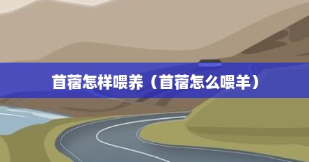 苜蓿怎样喂养（苜蓿怎么喂羊）
