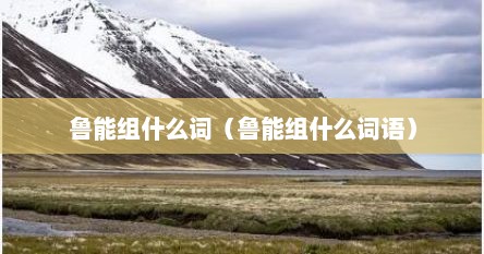 鲁能组什么词（鲁能组什么词语）