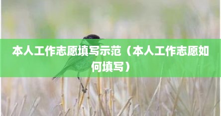 本人工作志愿填写示范（本人工作志愿如何填写）