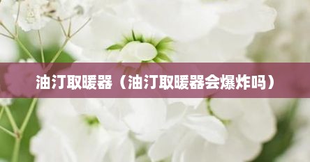 油汀取暖器（油汀取暖器会爆炸吗）