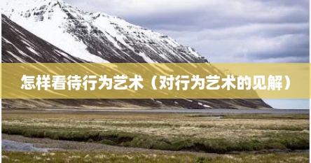 怎样看待行为艺术（对行为艺术的见解）