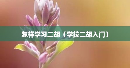 怎样学习二胡（学拉二胡入门）