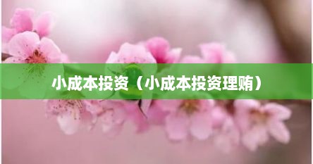 小成本投资生意（小成本投资赚钱项目）
