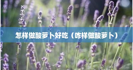 怎样做酸萝卜好吃（咋样做酸萝卜）