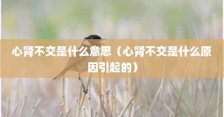 心肾不交是什么意思（心肾不交是什么原因引起的）