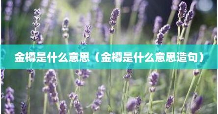 金樽是什么意思（金樽是什么意思造句）