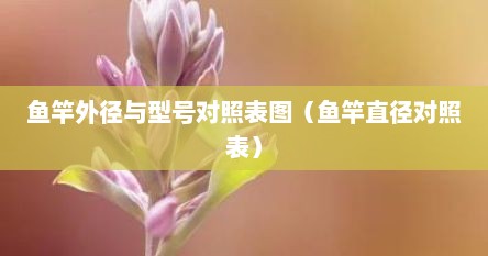 鱼竿外径与型号对照表图（鱼竿直径对照表）