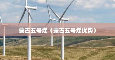 蒙古五号煤（蒙古五号煤优势）