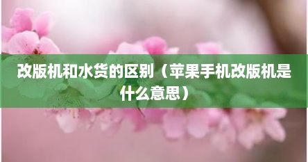 改版机和水货的区别（苹果手机改版机是什么意思）