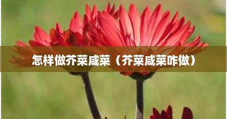 怎样做芥菜咸菜（芥菜咸菜咋做）
