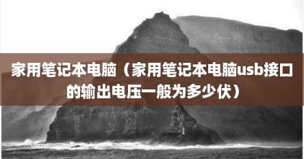 家用笔记本电脑（家用笔记本电脑usb接口的输出电压一般为多少伏）