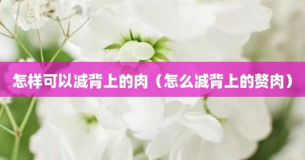 怎样可以减背上的肉（怎么减背上的赘肉）