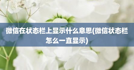 微信在状态栏上显示什么意思(微信状态栏怎么一直显示)