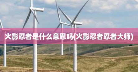 火影忍者是什么意思吗(火影忍者忍者大师)