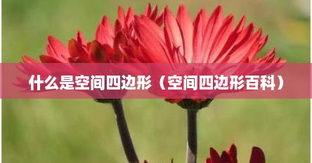 什么是空间四边形（空间四边形百科）