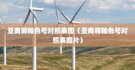 亚裔唇釉色号对照表图（亚裔唇釉色号对照表图片）
