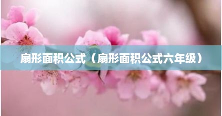 扇形的面积公式小学（扇形面积公式总结）