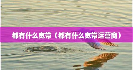 都有什么宽带（都有什么宽带运营商）
