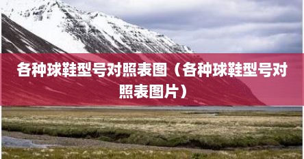 各种球鞋型号对照表图（各种球鞋型号对照表图片）
