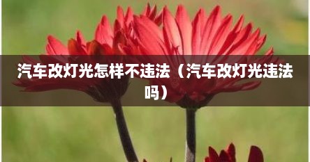 汽车改灯光怎样不违法（汽车改灯光违法吗）
