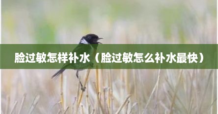 脸过敏怎样补水（脸过敏怎么补水最快）